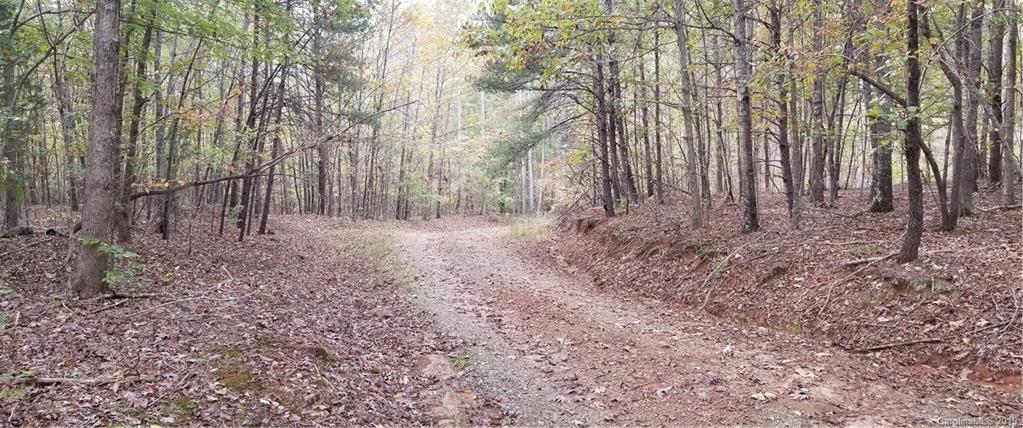 98-acres 98-acres Zion Road Rutherfordton, NC 28139 - Photo 26 of 38
