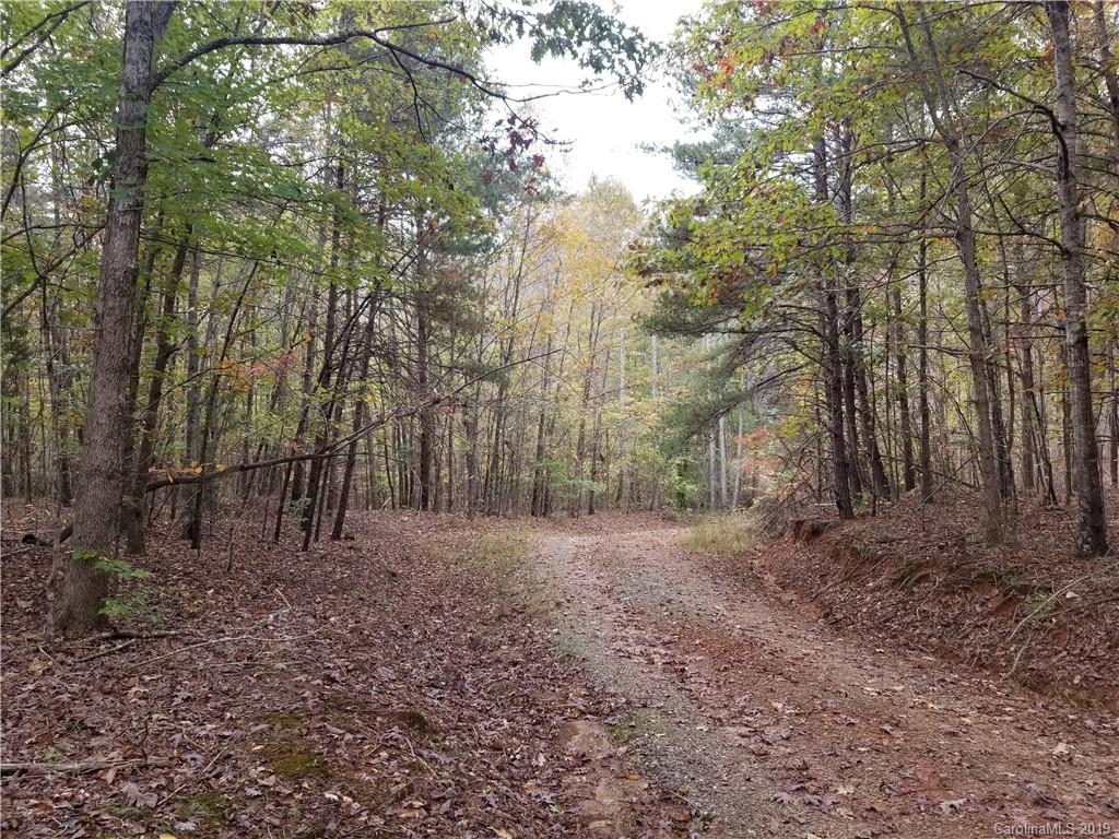 98-acres 98-acres Zion Road Rutherfordton, NC 28139 - Photo 27 of 38