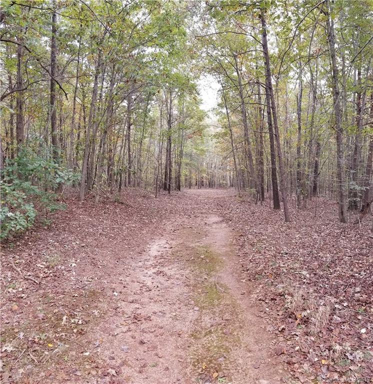 98-acres 98-acres Zion Road Rutherfordton, NC 28139 - Photo 28 of 38