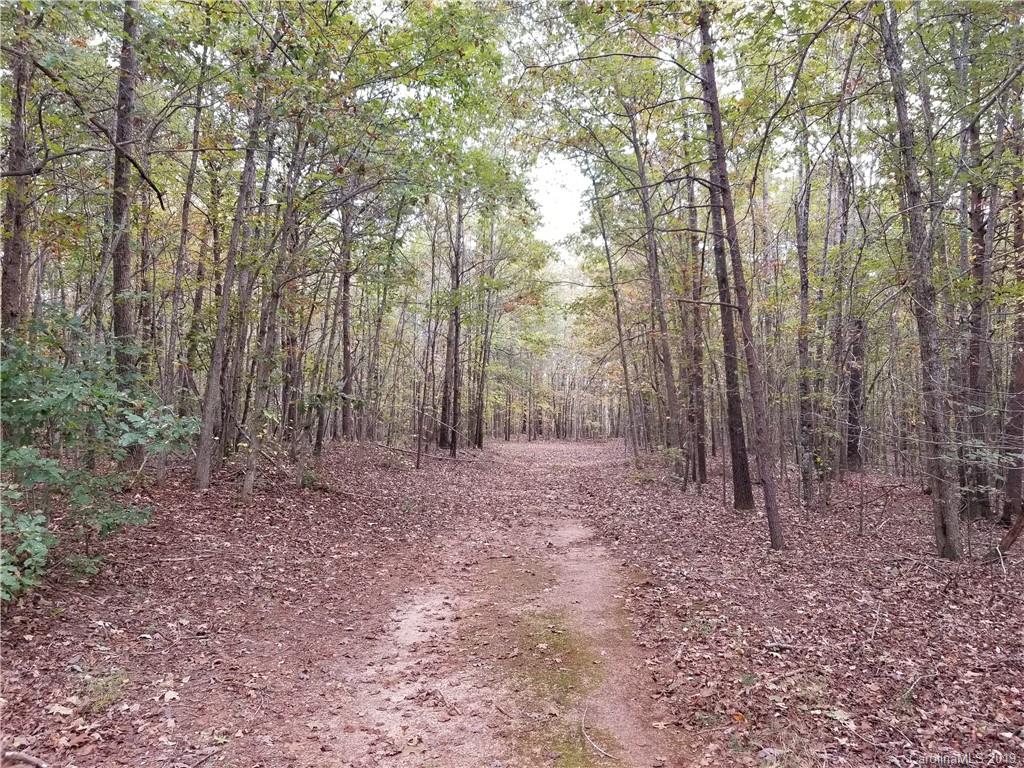98-acres 98-acres Zion Road Rutherfordton, NC 28139 - Photo 29 of 38