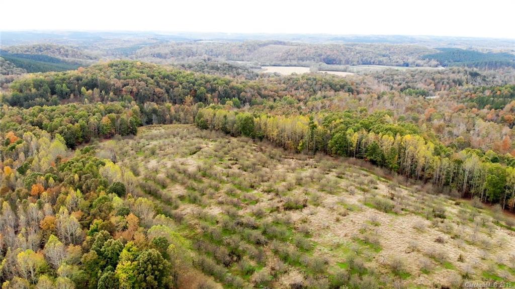 98-acres 98-acres Zion Road Rutherfordton, NC 28139 - Photo 4 of 38