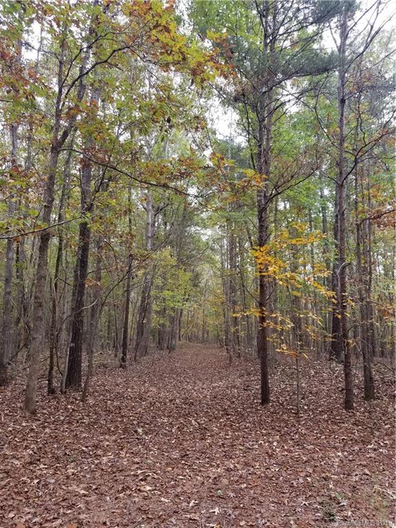 98-acres 98-acres Zion Road Rutherfordton, NC 28139 - Photo 31 of 38
