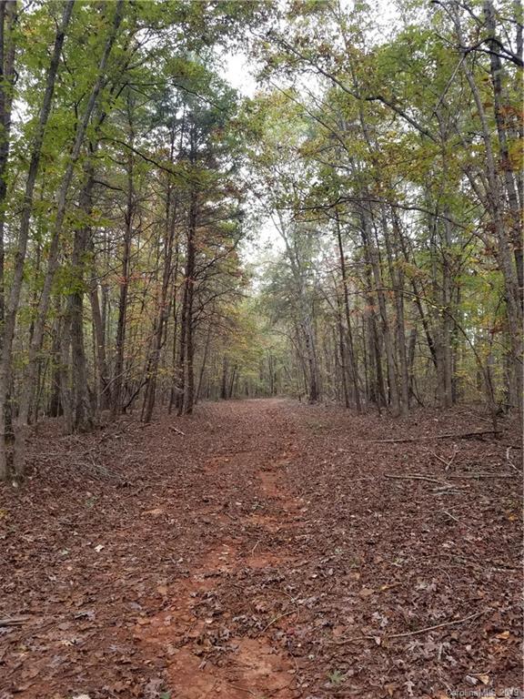 98-acres 98-acres Zion Road Rutherfordton, NC 28139 - Photo 32 of 38