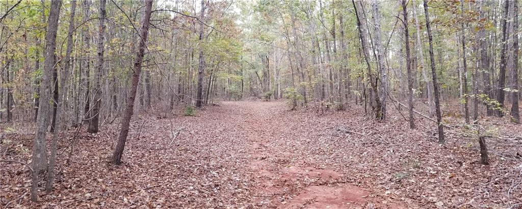 98-acres 98-acres Zion Road Rutherfordton, NC 28139 - Photo 33 of 38