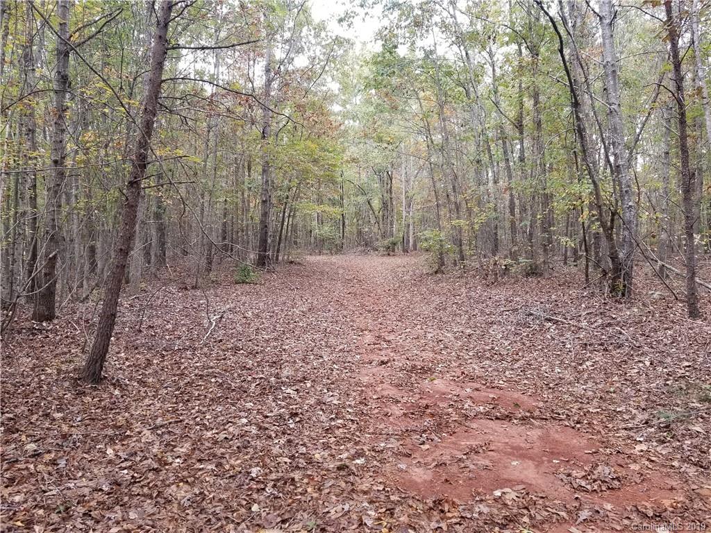 98-acres 98-acres Zion Road Rutherfordton, NC 28139 - Photo 34 of 38