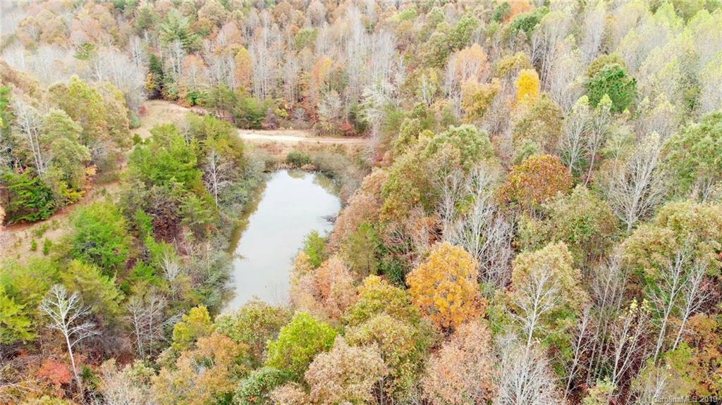 98-acres 98-acres Zion Road Rutherfordton, NC 28139 - Photo 6 of 38