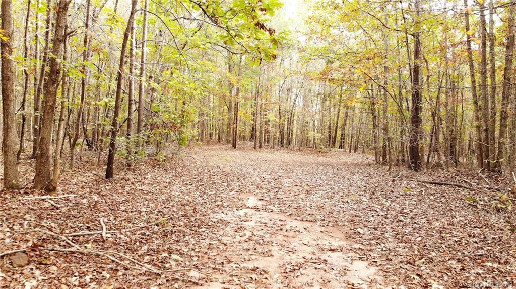 98-acres 98-acres Zion Road Rutherfordton, NC 28139 - Photo 10 of 38