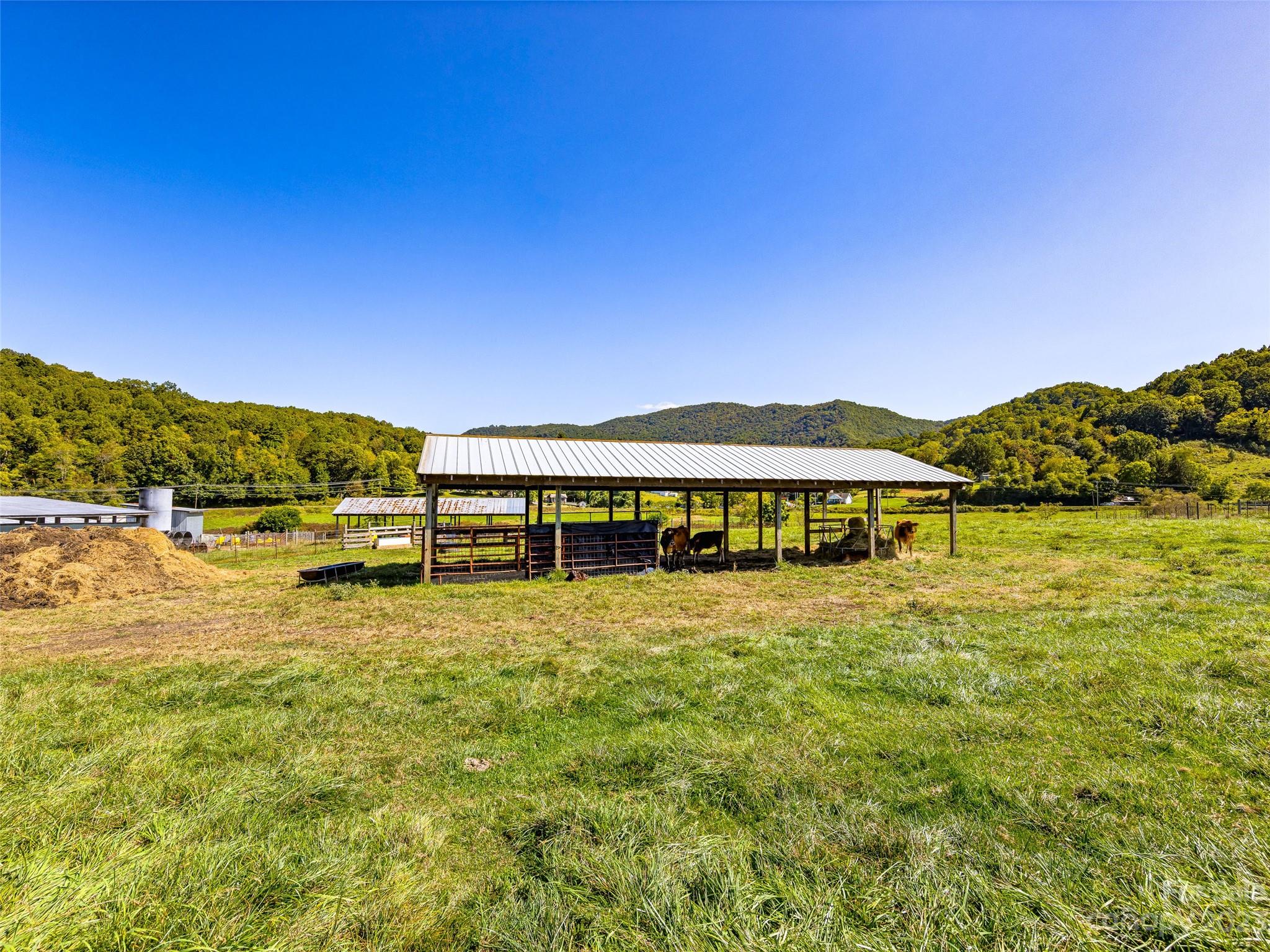 192 Ratcliff Cove Road Waynesville, NC 28786 - Photo 24 of 48