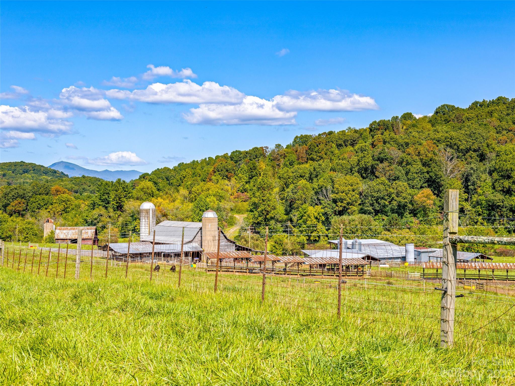 192 Ratcliff Cove Road Waynesville, NC 28786 - Photo 28 of 48
