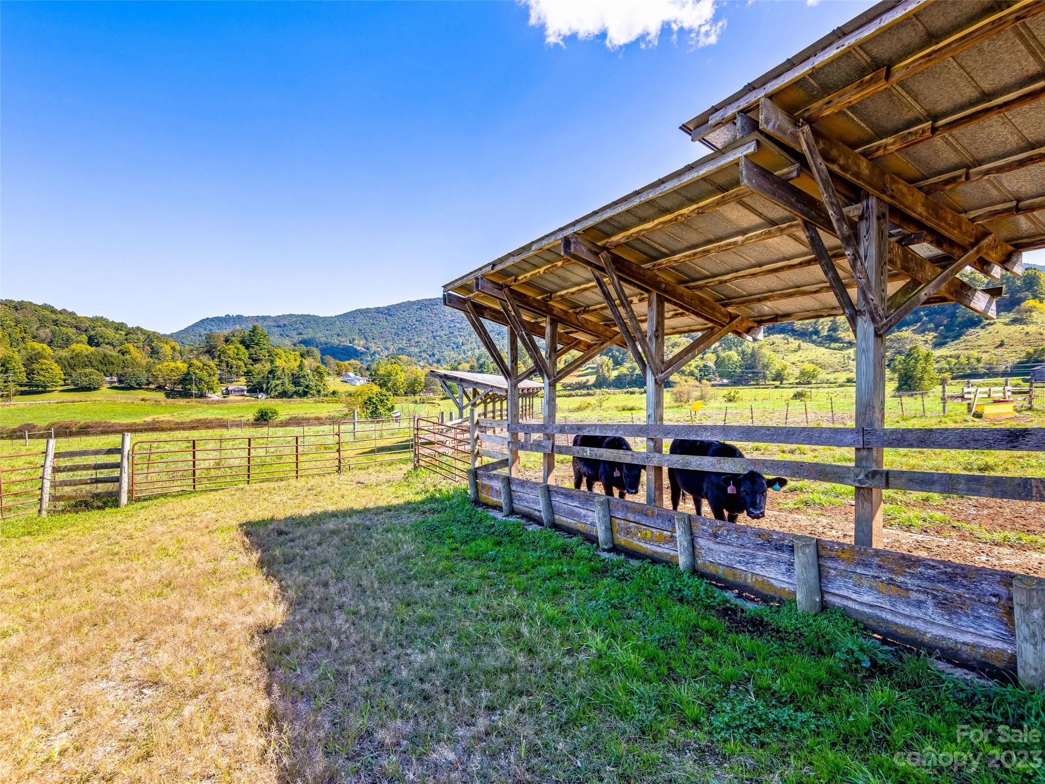 192 Ratcliff Cove Road Waynesville, NC 28786 - Photo 37 of 48