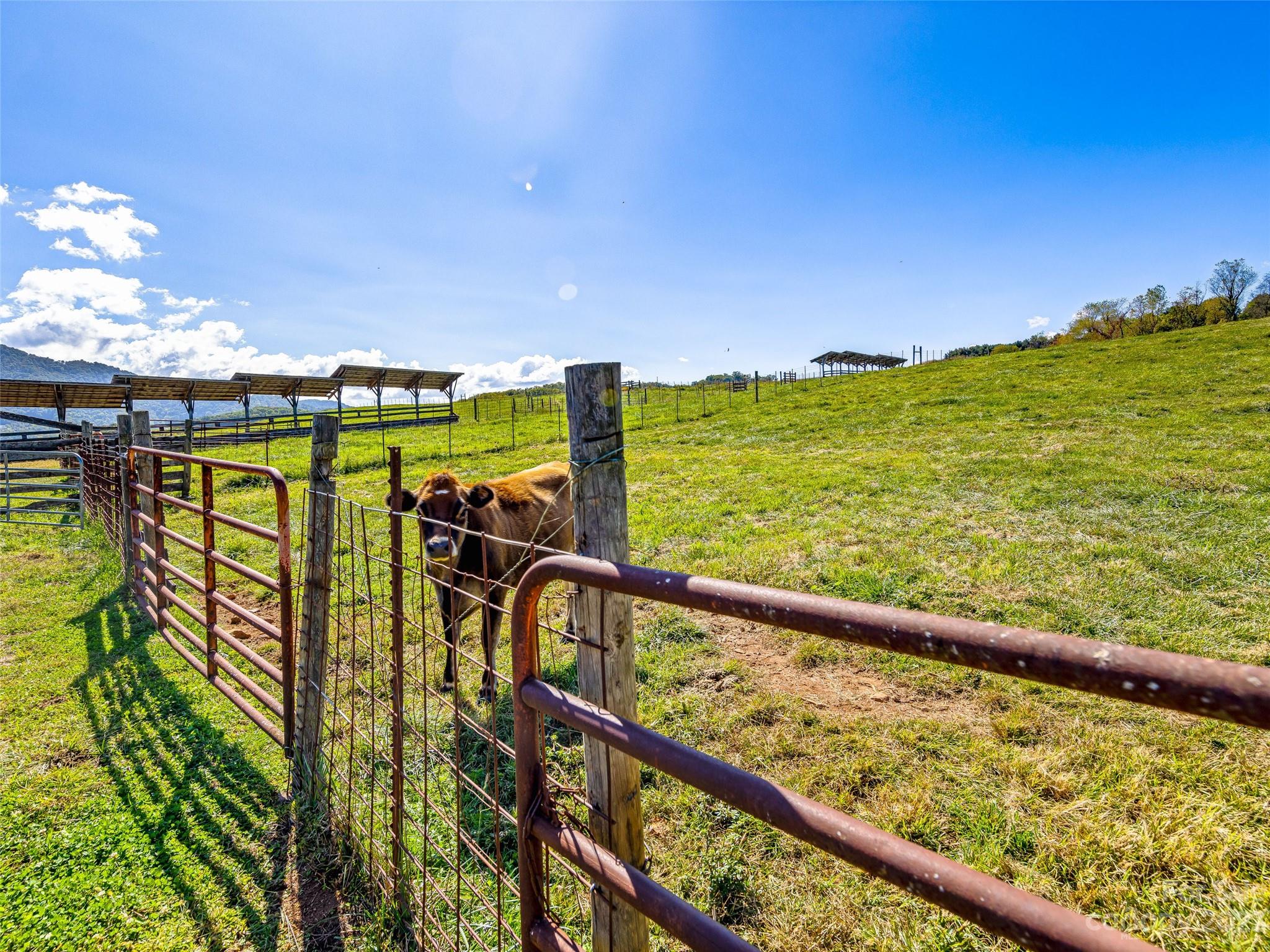 192 Ratcliff Cove Road Waynesville, NC 28786 - Photo 39 of 48