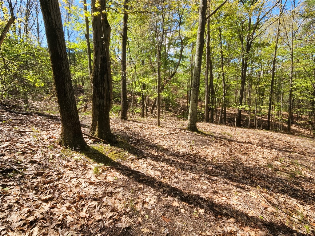 613 East Lake Road Penn Yan, NY 14527 - Photo 22 of 35