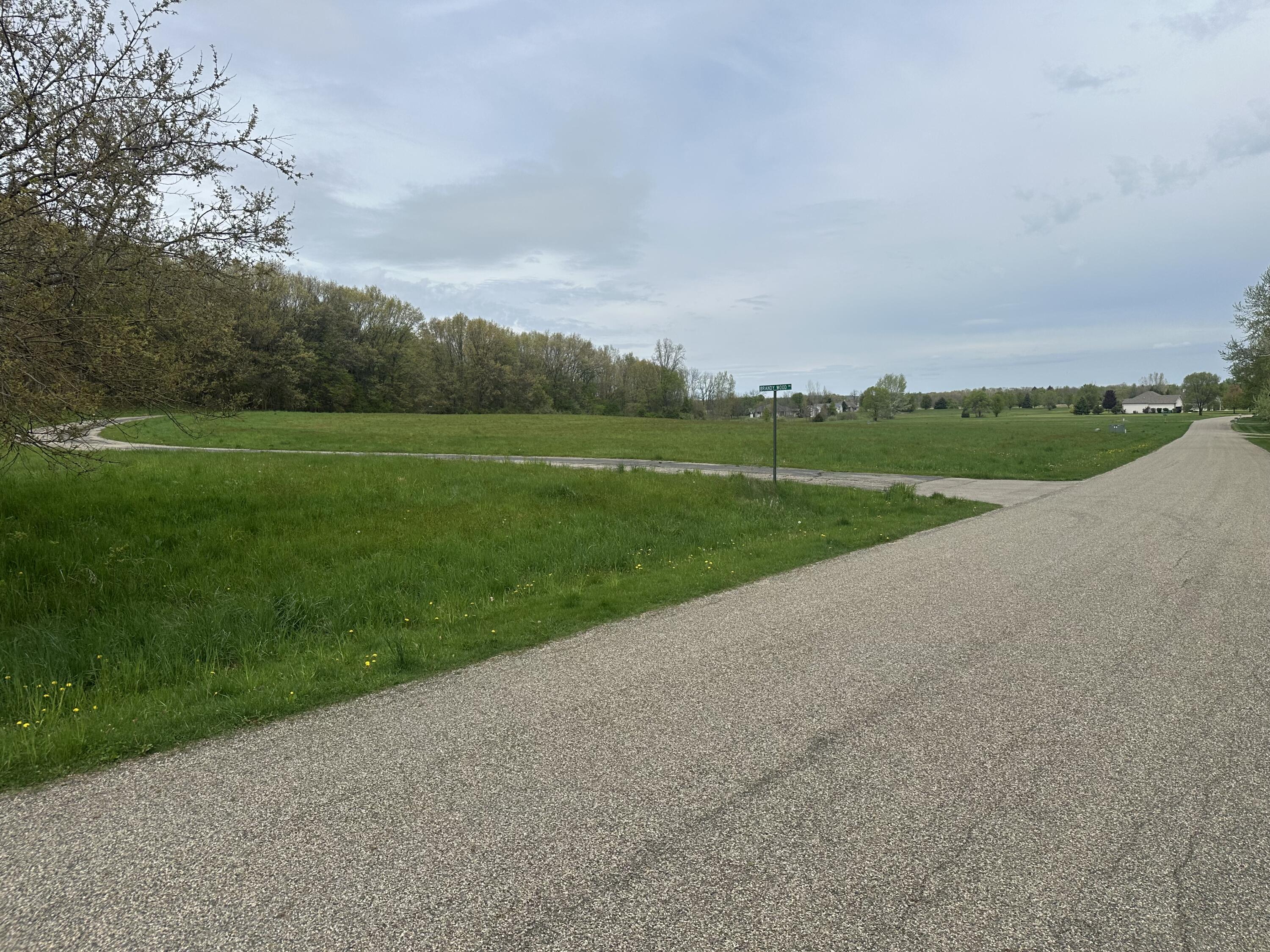 V/l V/l Raintree Sturgis, MI 49091 - Photo 12 of 12 IMG_3477