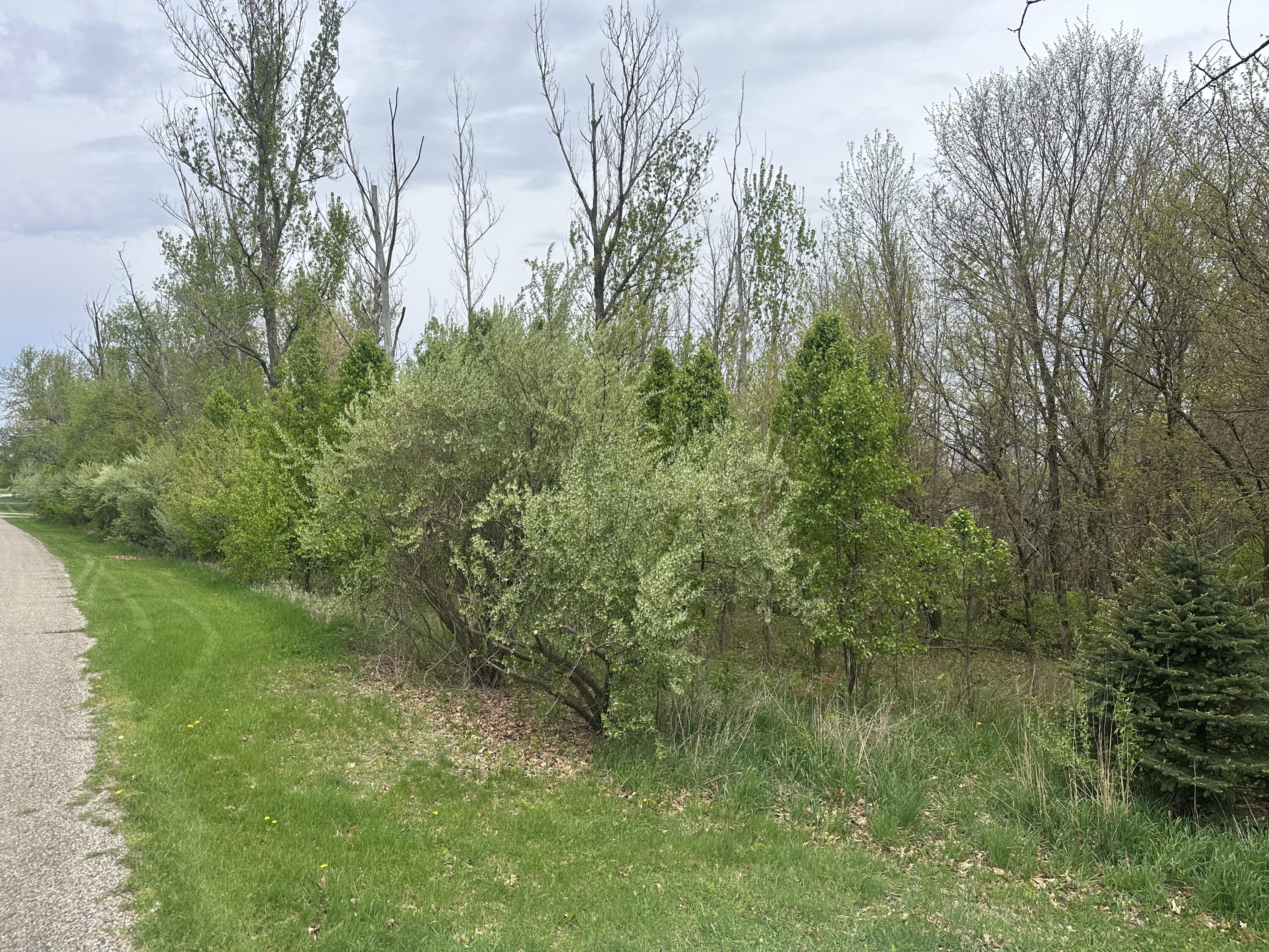 V/l V/l Raintree Sturgis, MI 49091 - Photo 9 of 12 IMG_3480