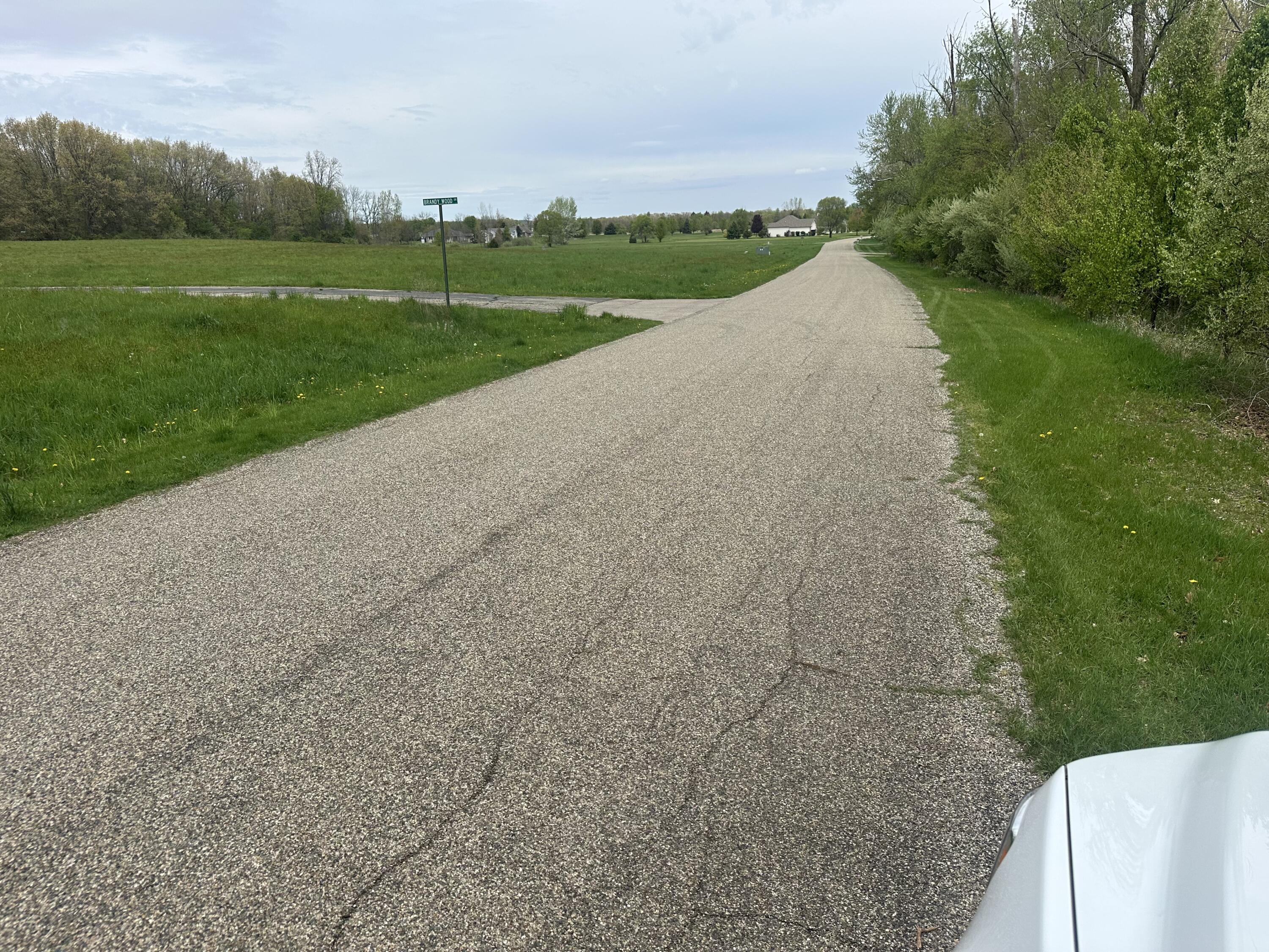 V/l V/l Raintree Sturgis, MI 49091 - Photo 10 of 12 IMG_3479