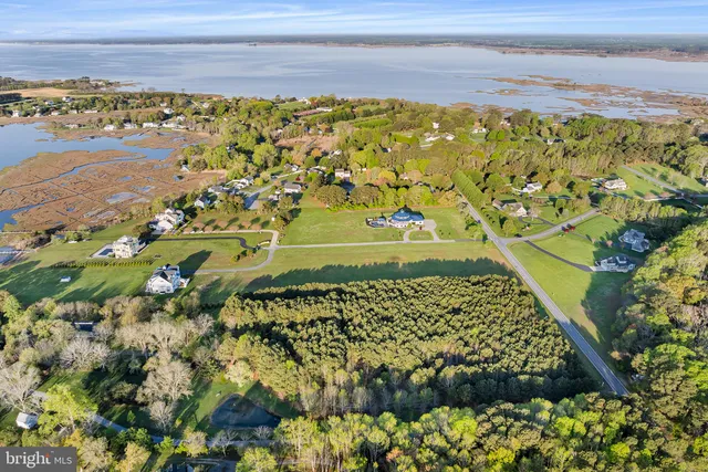a view of a swimming pool with a yard