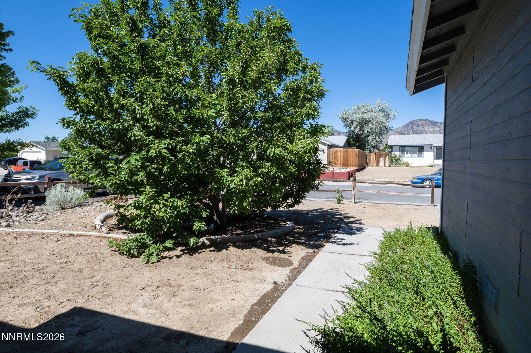 542 Yellow Jacket Road Dayton, NV 89403 - Photo 39 of 39 39-web-or-mls-DSC_6190