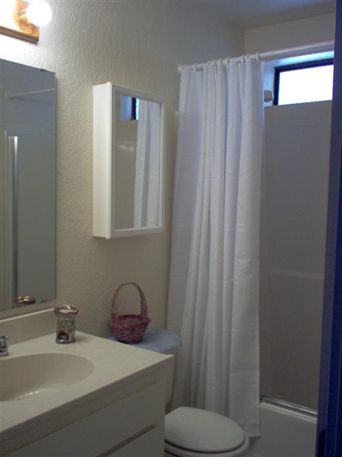703 Poker Flat Road Copperopolis, CA 95228 - Photo 18 of 24 a bathroom with a sink toilet and shower