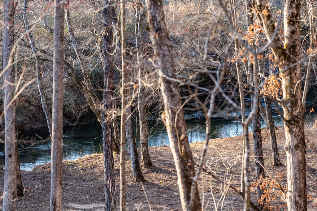 287 Cool Creek Trail Blue Ridge, GA 30513 - Photo 24 of 71 Gallery Image 24