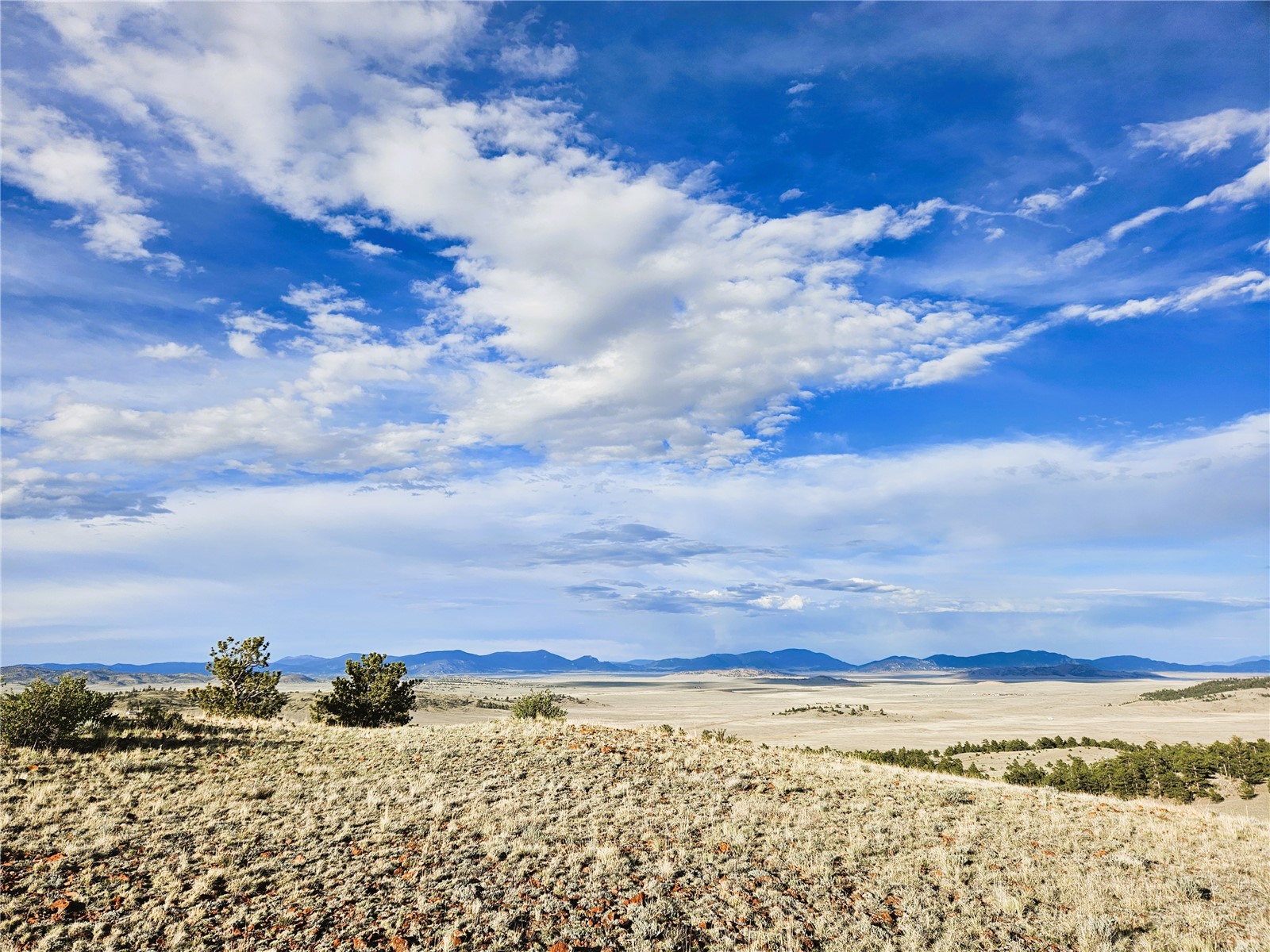 Pcs#24142 Antero Road Hartsel, CO 80449 - Photo 4 of 50