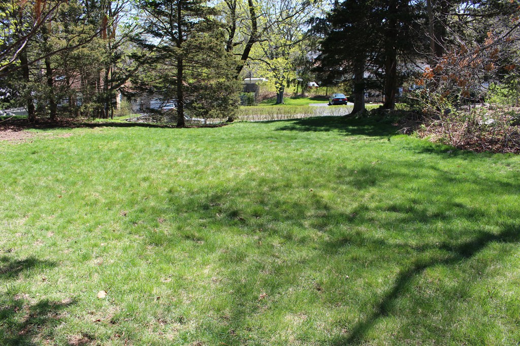 11 Alpine Road Norwood, MA 02062 - Photo 11 of 12 Gallery Image 11