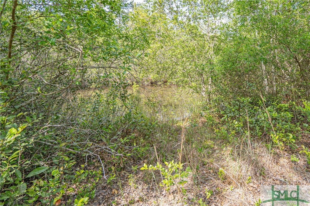 486 Black Creek Church Road Pembroke, GA 31321 - Photo 30 of 34