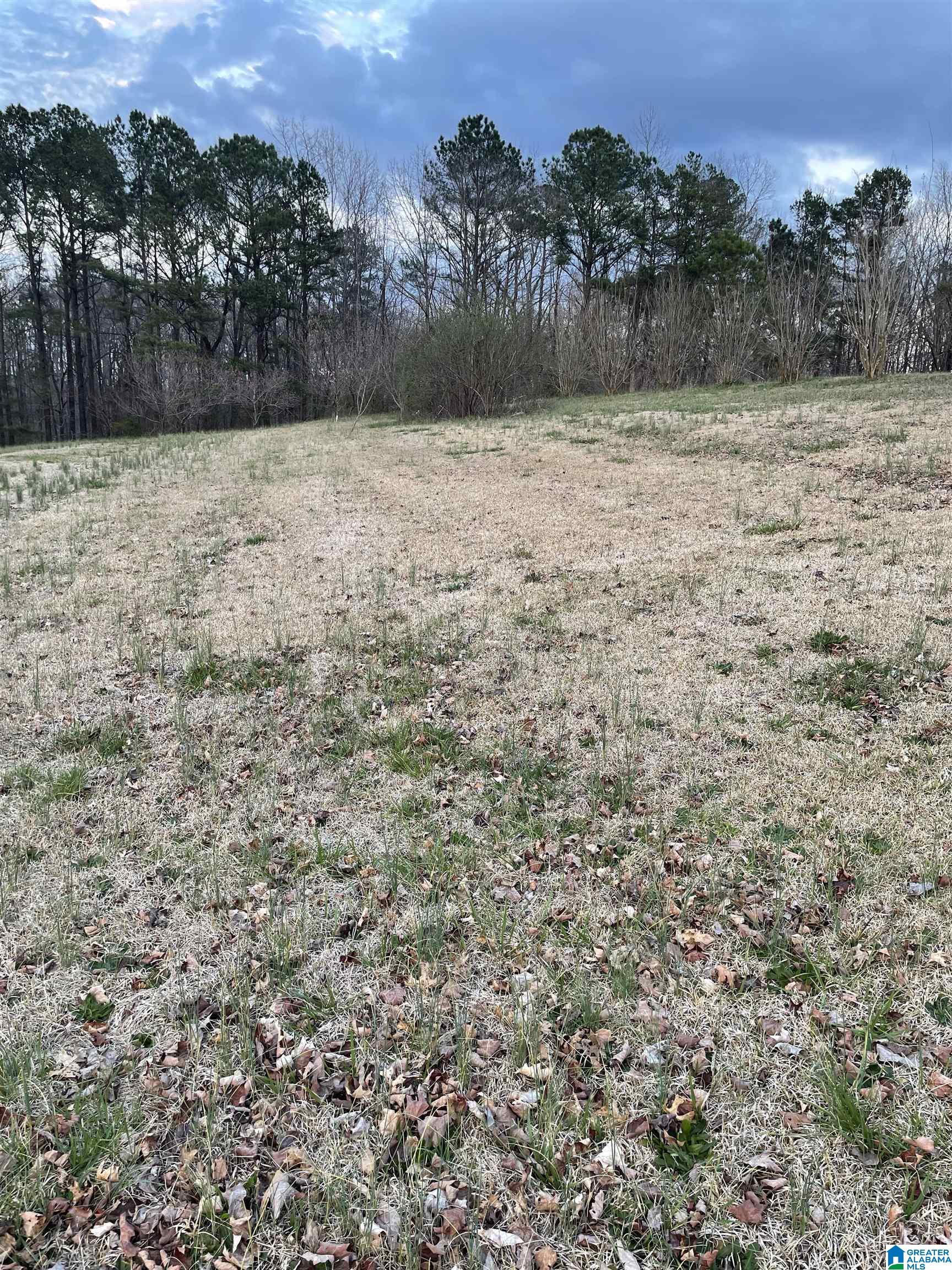Springs Cove Road Warrior, AL 35180 - Photo 3 of 3