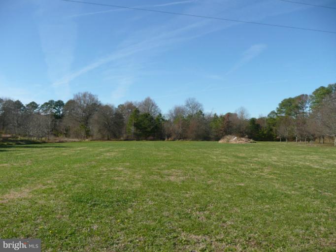5723 Morris Neck Road Cambridge, MD 21613 - Photo 18 of 30 Rear Yard