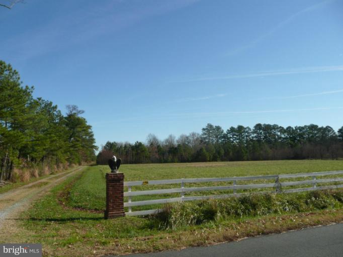 5723 Morris Neck Road Cambridge, MD 21613 - Photo 22 of 30 Driveway & Field