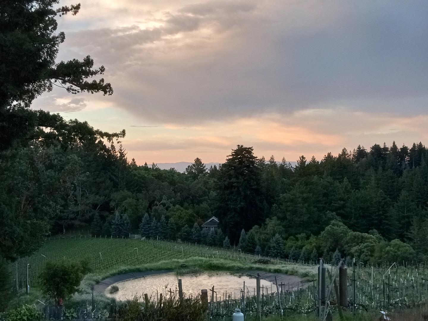 1580 Tindall Ranch Road Watsonville, CA 95076 - Photo 33 of 145 Gallery Image 33