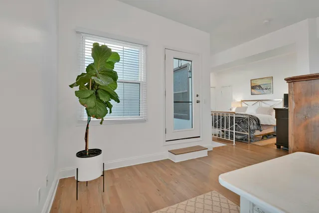 a living room with furniture and a potted plant