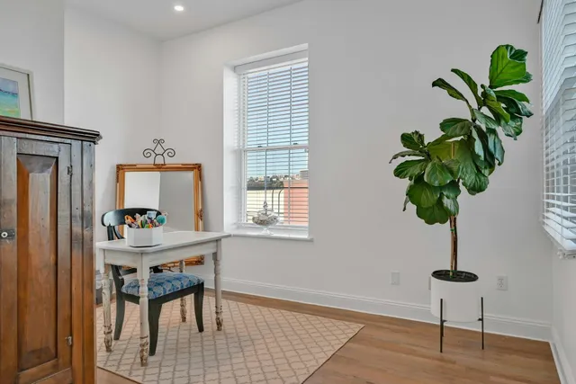 a room with furniture and a potted plant