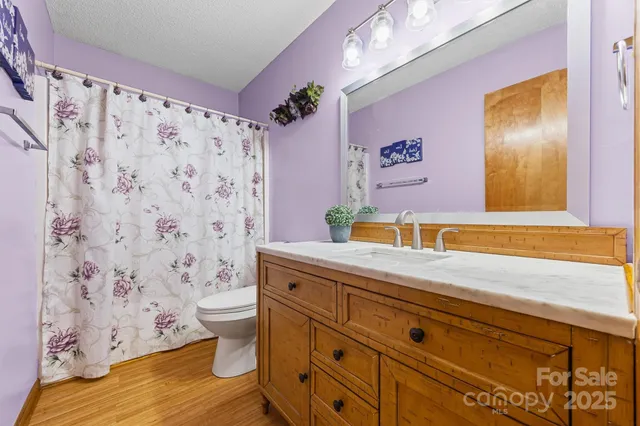 a bathroom with a granite countertop sink a toilet and a shower curtain