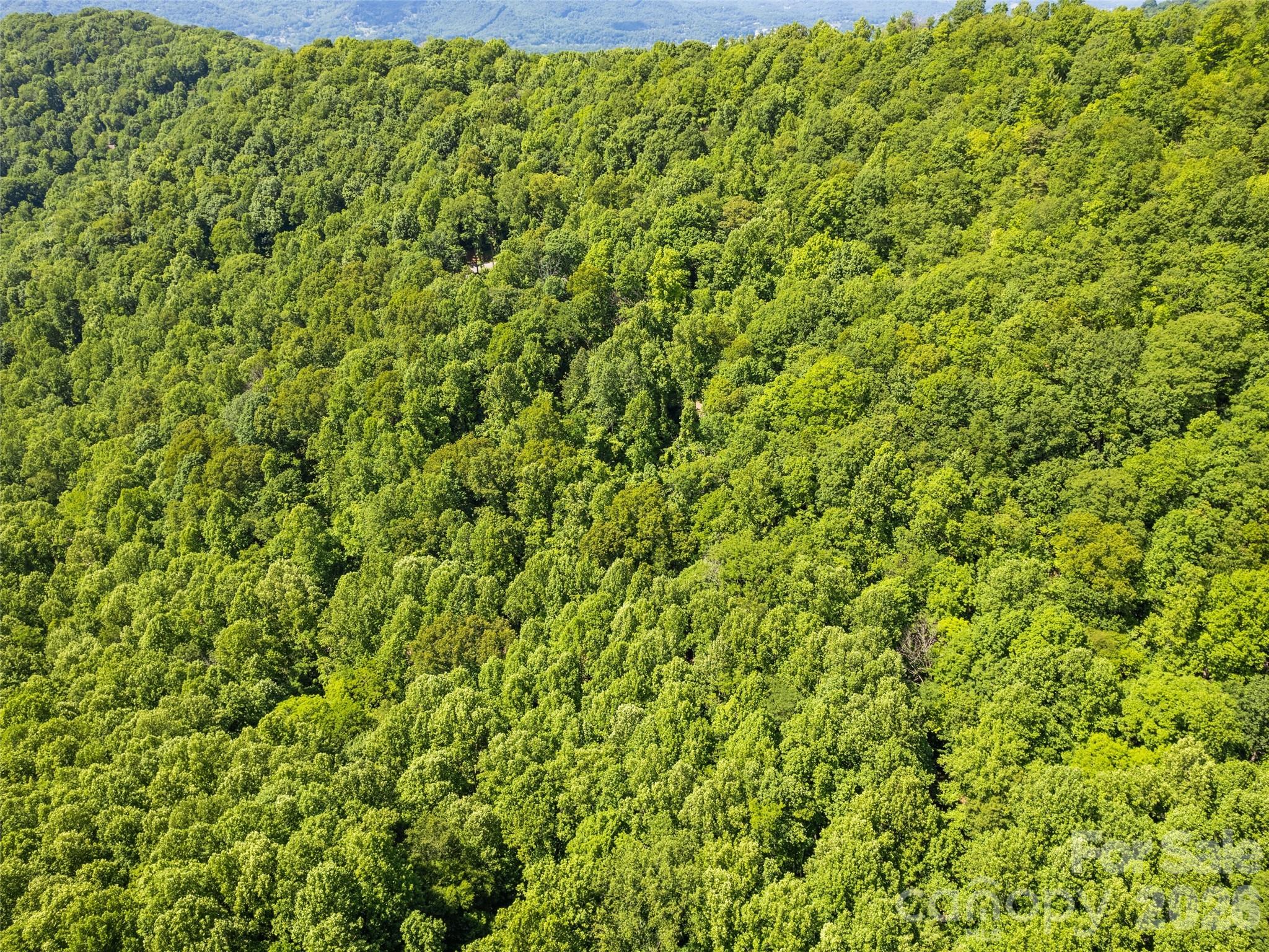 0 Rustic Road Waynesville, NC 28786 - Photo 6 of 11