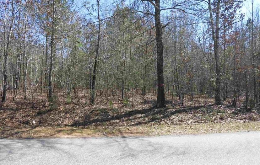 Lot 5 Country Pond Road Clinton, SC 29325 - Photo 1 of 1 Gallery Image 1