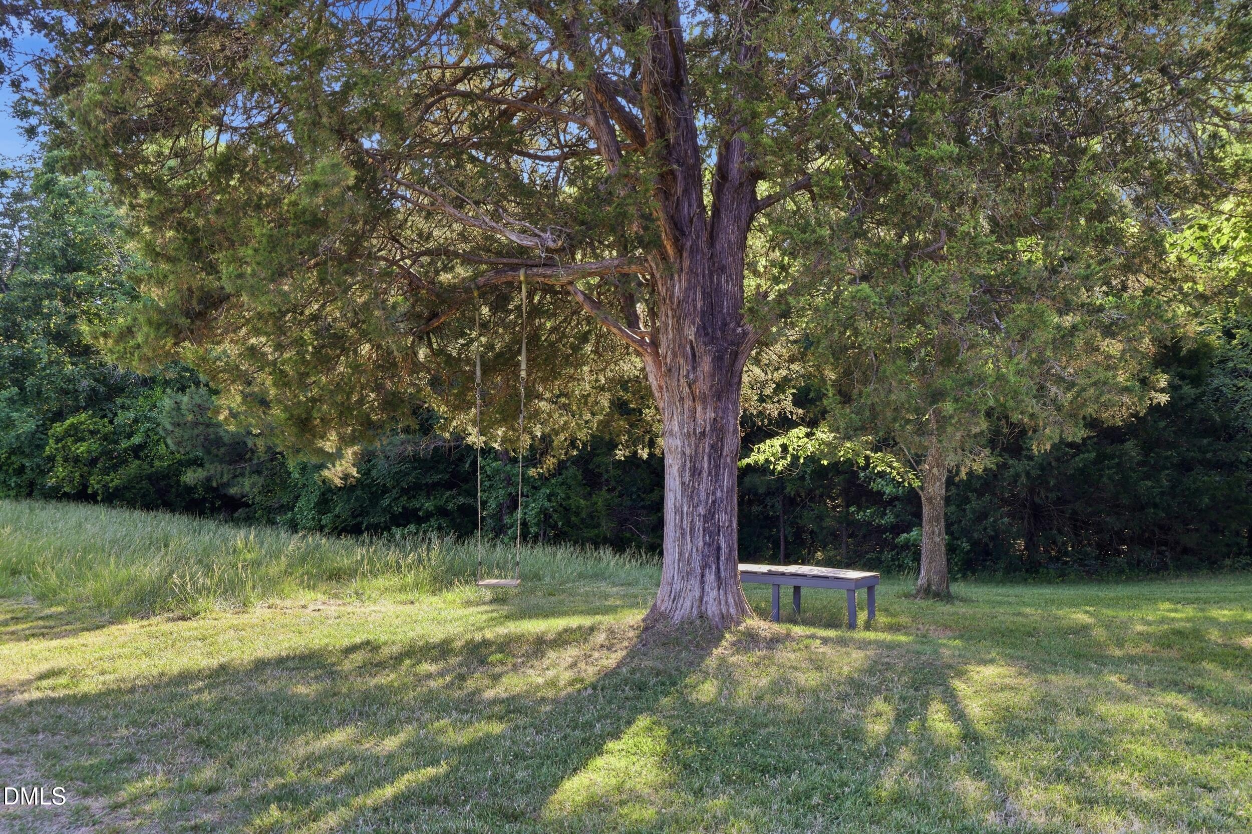 2631 South Jim Minor Road Haw River, NC 27258 - Photo 48 of 62 a backyard of a house with lots of green space