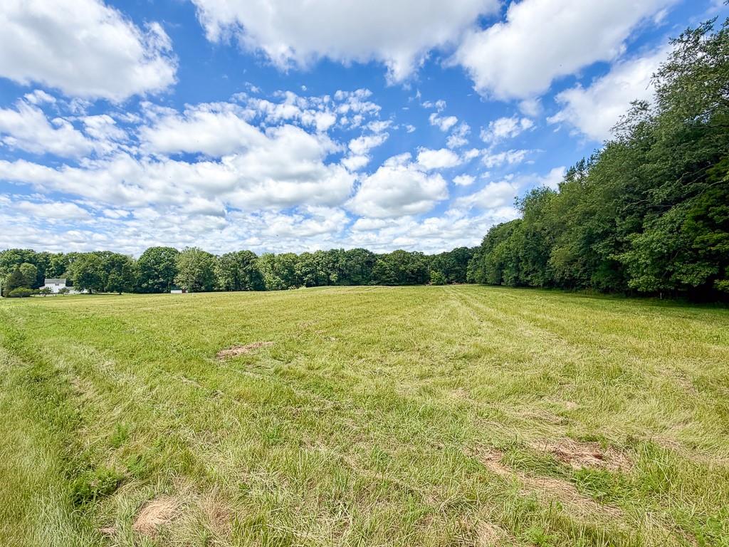 2385 River Road Hermitage, PA 16148 - Photo 14 of 21 Near the opposite property line from Farmhouse, makes a perfect spot for a new build site - live off grid!!!