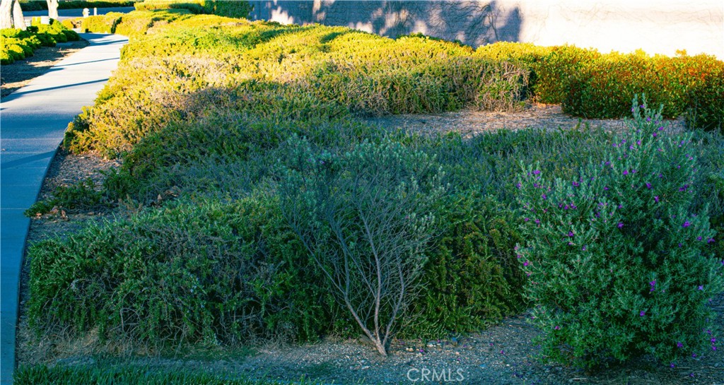 a view of an outdoor space and a yard