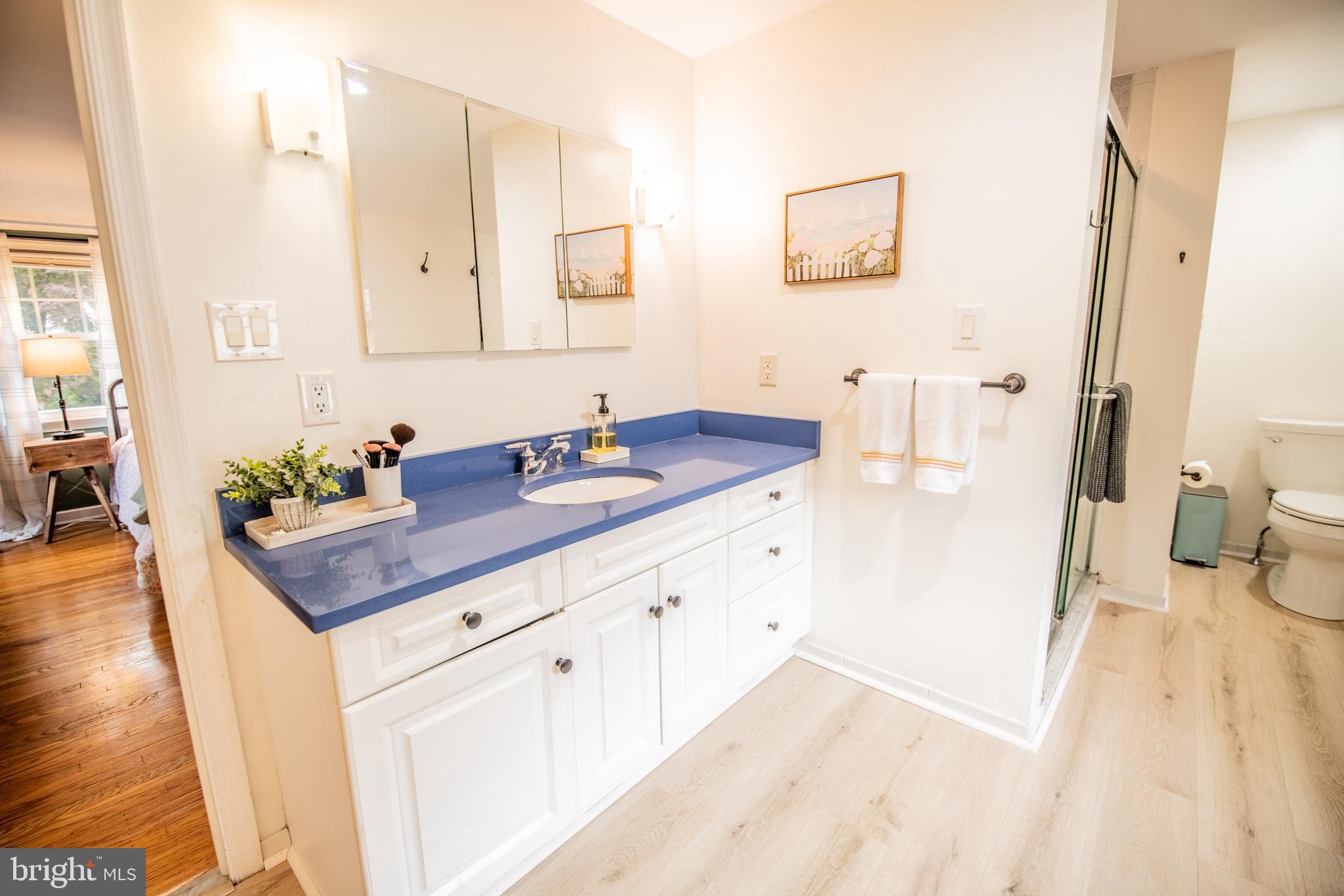 141 Cascade Road Springfield, PA 19064 - Photo 16 of 29 a bathroom with a sink and a mirror