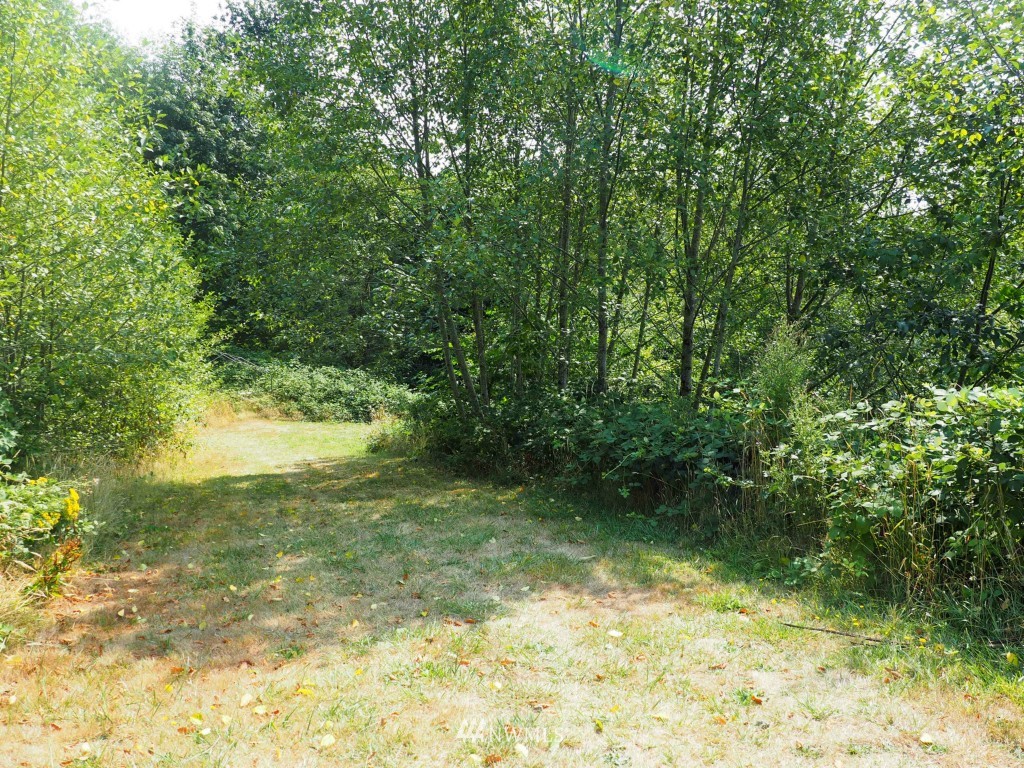 198 Joseph Road Kelso, WA 98626 - Photo 1 of 6 Gallery Image 1