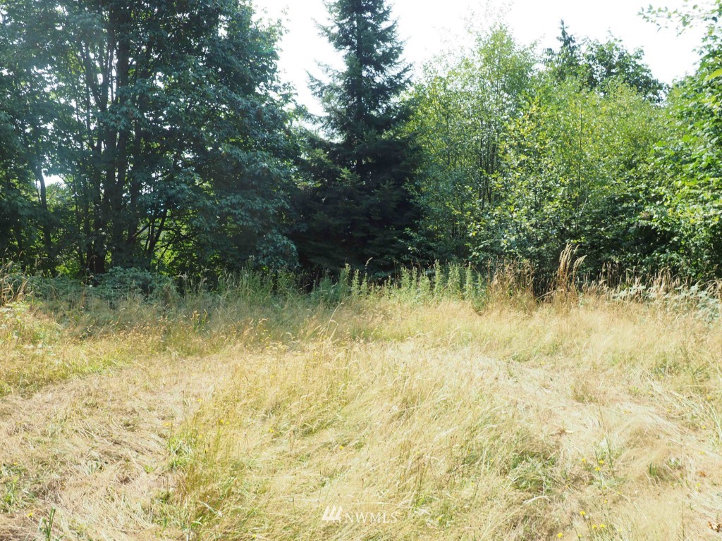 198 Joseph Road Kelso, WA 98626 - Photo 2 of 6 Gallery Image 2