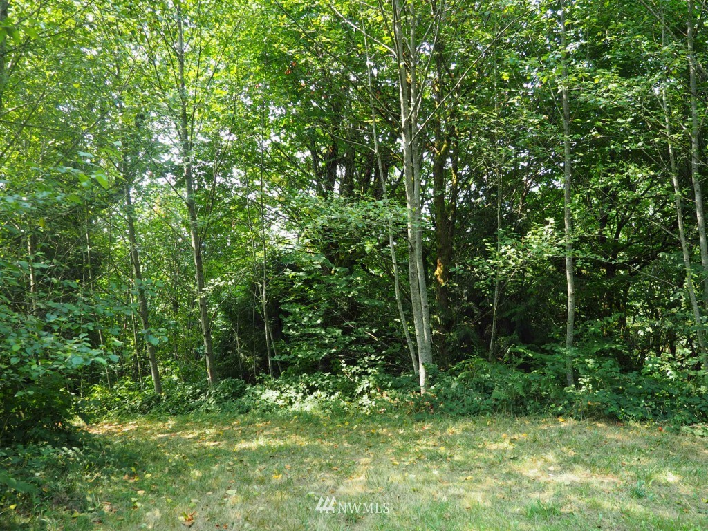198 Joseph Road Kelso, WA 98626 - Photo 4 of 6 Gallery Image 4