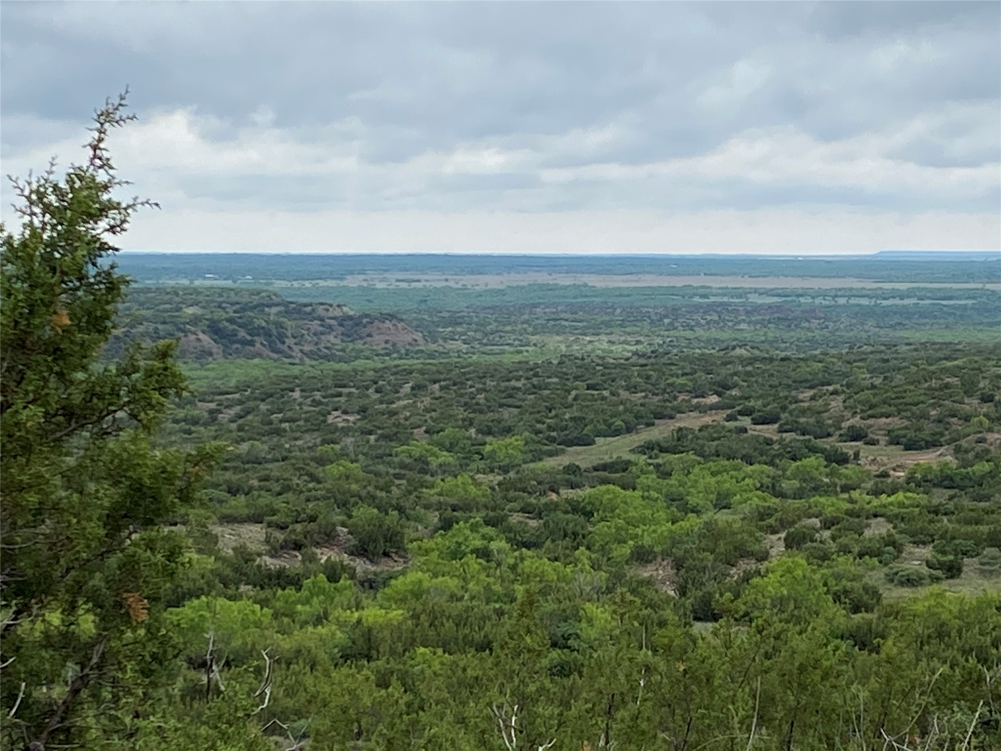 906 C R 235 Old Glory, TX 79540 - Photo 2 of 40 Aerial view of a forest