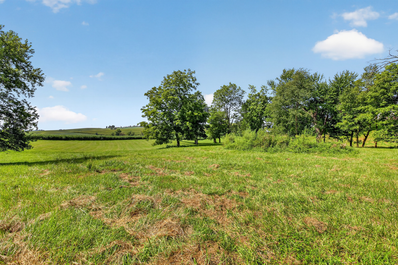 1650 Timberlane Road Delmar, IA 52037 - Photo 11 of 30 Gallery Image 11