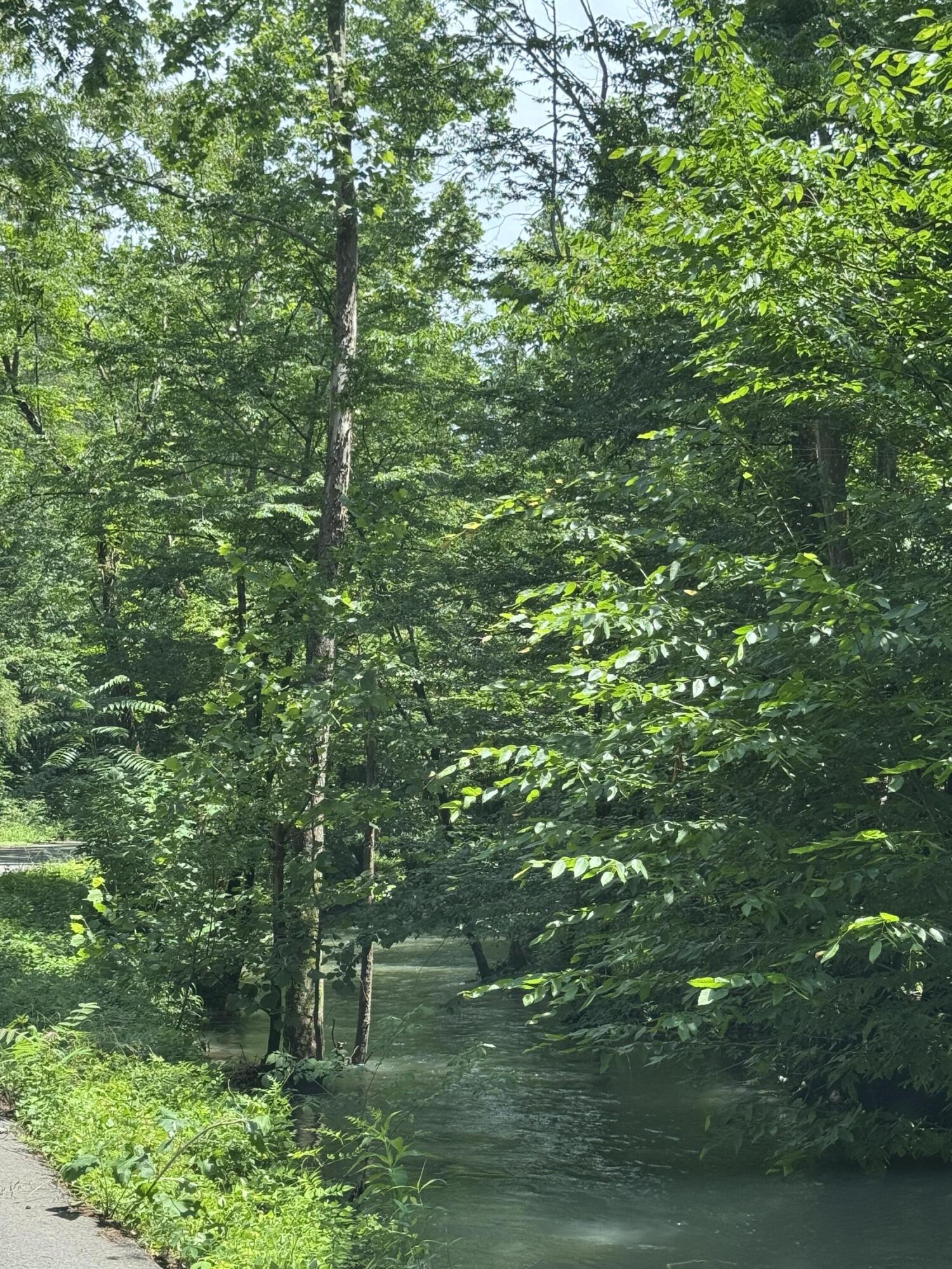 2784 Fiery Gizzard Road South Pittsburg, TN 37380 - Photo 3 of 19 Hankins 9