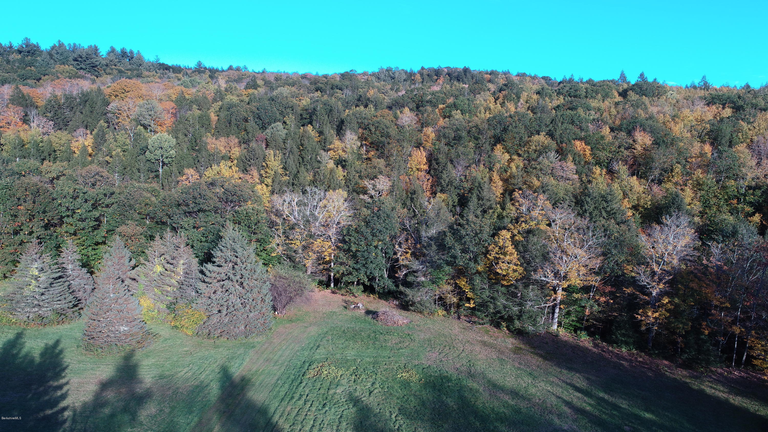 Lot 22 East River Road Chester, MA 01011 - Photo 4 of 9 a view of a forest with trees in the background