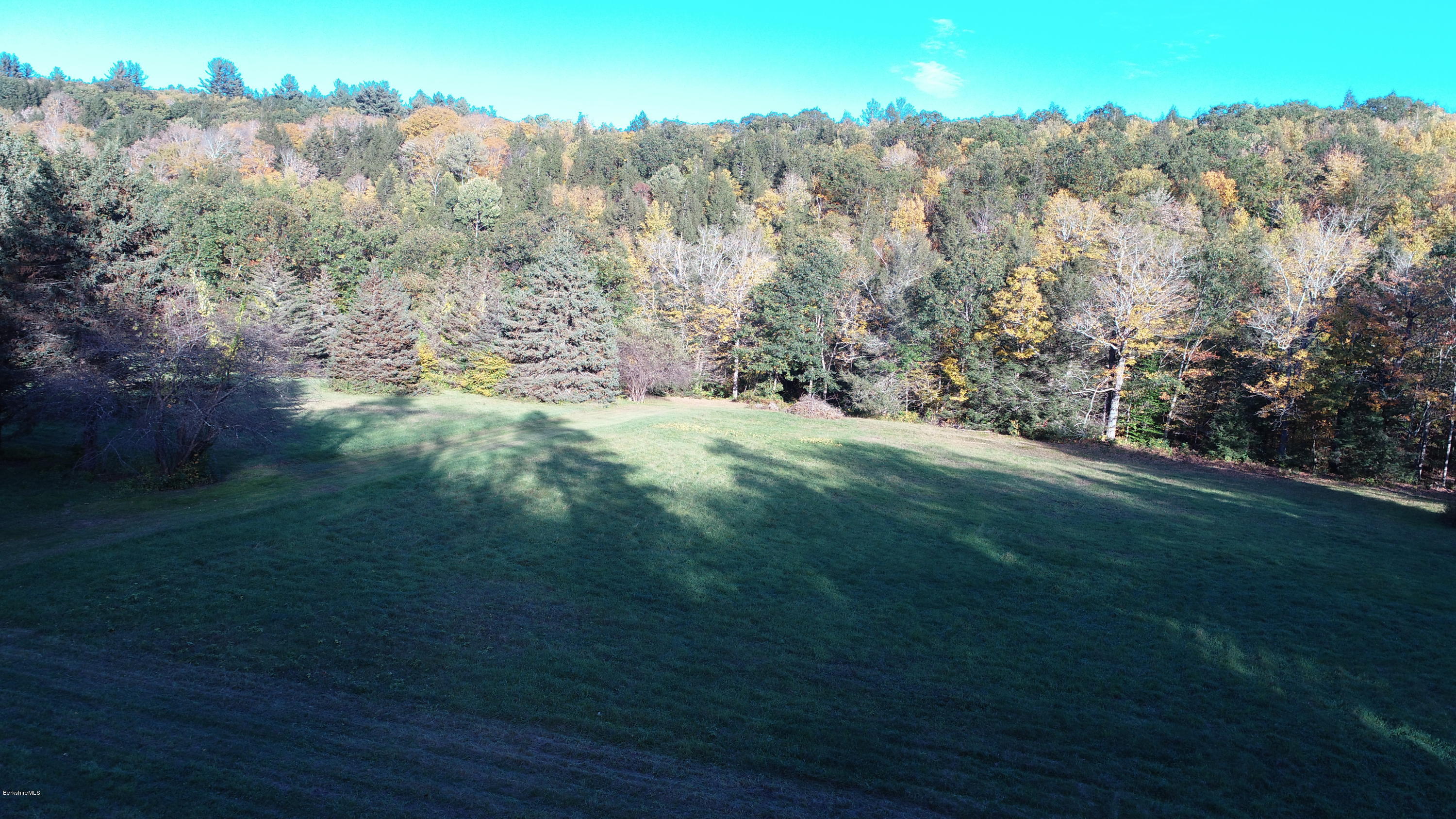 Lot 22 East River Road Chester, MA 01011 - Photo 5 of 9 a view of a yard with a tree