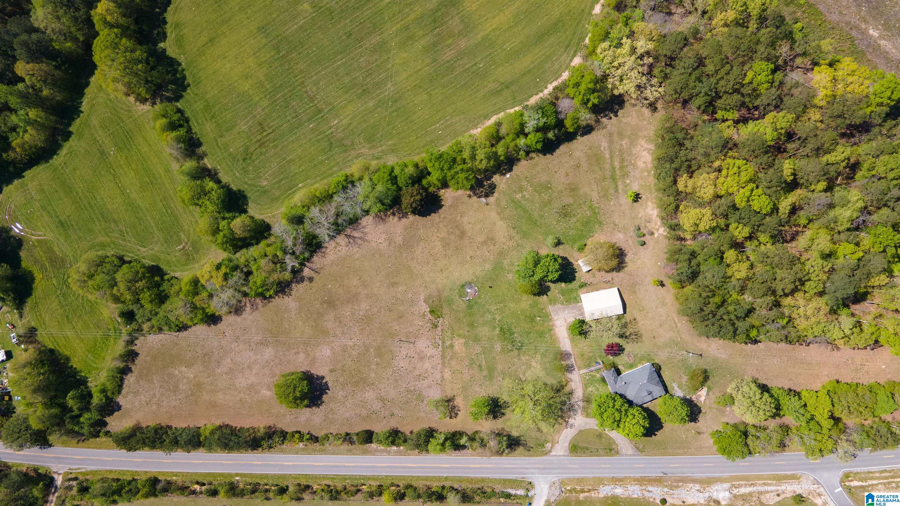 5161 Roy Webb Road Jacksonville, AL 36265 - Photo 6 of 46