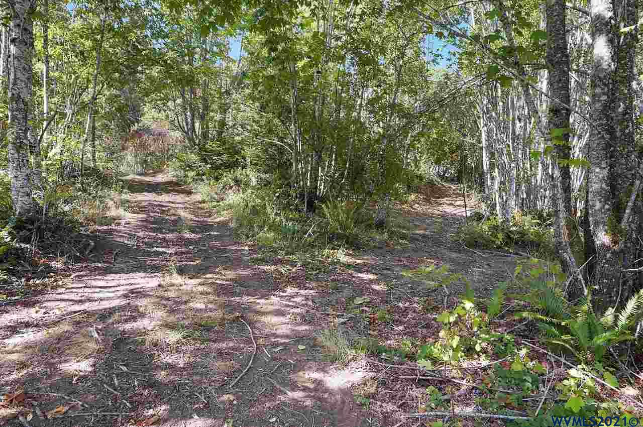 6645 Ash Street Grand Ronde, OR 97347 - Photo 33 of 42