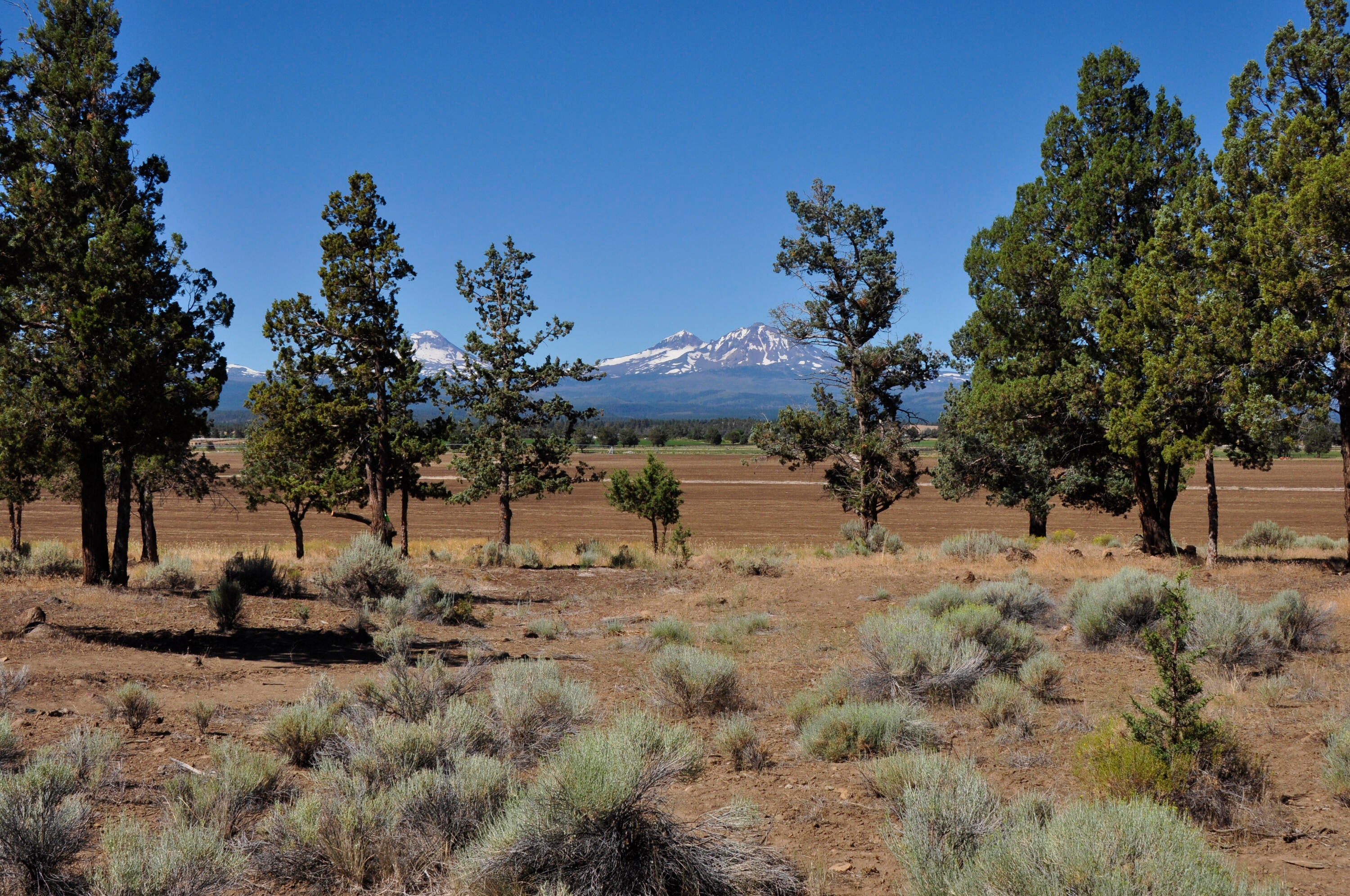 68755 Fryrear Road Sisters, OR 97759 - Photo 7 of 30 _DSC0128